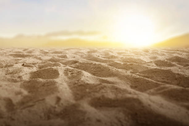 Close-up view of sand dune with a sunset sky background
