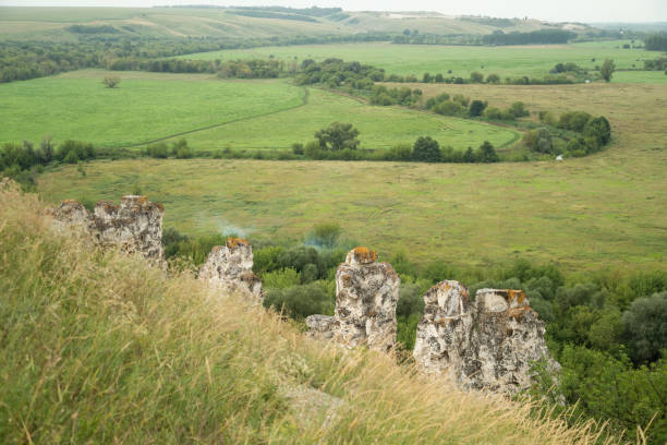 분필 돌 백악기 디바스에 대한 상단 전망 divnogorie, voronezh 지역, 러시아의 녹색 계곡 위의 - mountain cliff mountain peak plateau 뉴스 사진 이미지