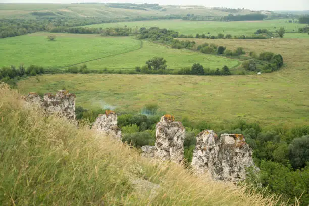 Top view on chalk stone cretaceous divas above green valley in Divnogorie, Voronezh region, Russia