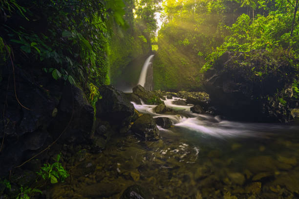 istock Indonesian scenery at the waterfall on a sunny morning 1421450513
