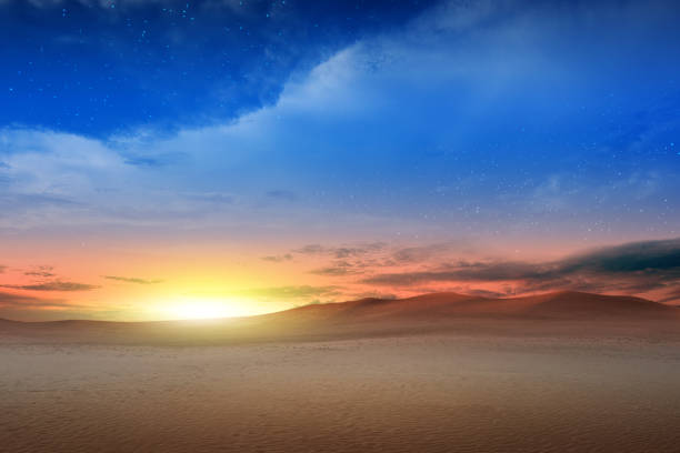 istock Views of sand dune 1421450769