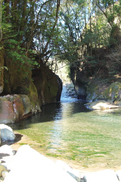 istock Scenery of Kirishima Shinsui Gorge 1421461497