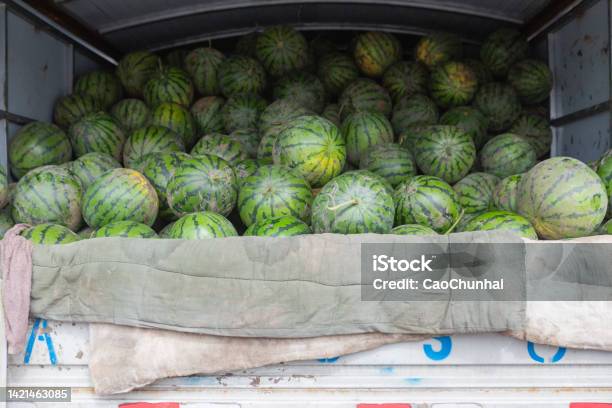 Watermelons On A Wagon Stock Stock Photo - Download Image Now - Truck, Watermelon, Agriculture