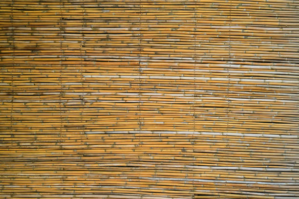 istock wooden bamboo wall background for interior design 1421468873
