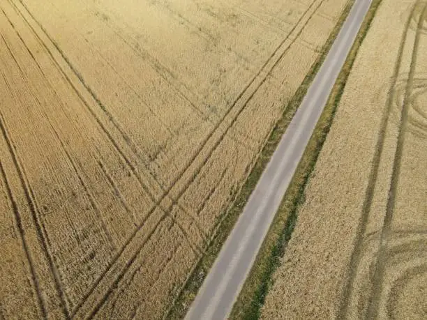Aerial view of a asphalt path way between wheatfields on a sunny day in summer