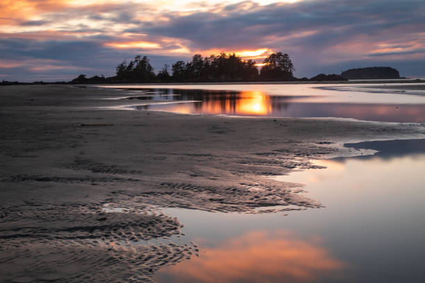 istock Pacific Rim National Park 1421477951