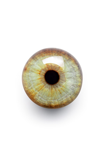 Close-up of a female eye with blue iris