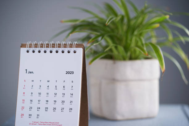 istock desk calendar with  spider plant 1421486834