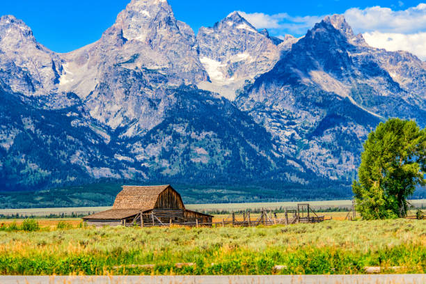 john moulton barn on mormon row - teton range grand teton national park mountain rural scene imagens e fotografias de stock