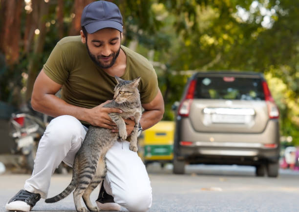 istock a boy who loves a cat 1421501241