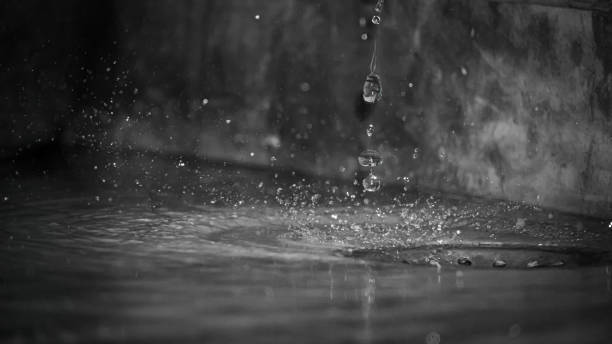 istock Round rain drops falling on smooth surface of water with grain 1421502798