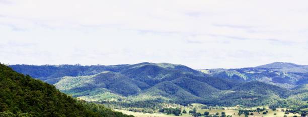 istock Sun dappled hills, Obi Obi Valley, Sunshine Coast, Queensland 1421503014