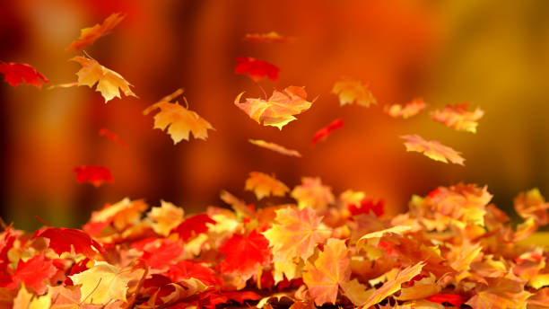 istock Autumn leaves background 1421505951