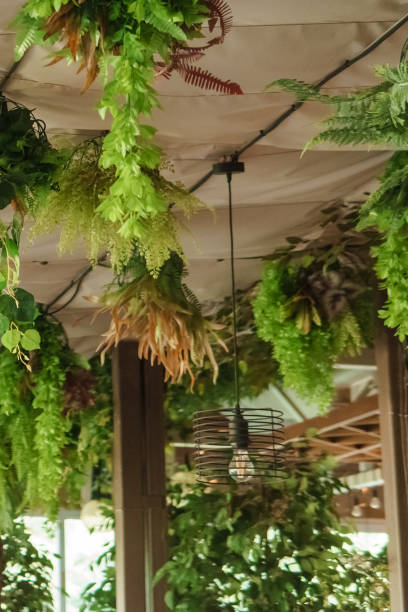 istock Cafe interior with elements of biophilic design. The ceiling is decorated with hanging indoor plants. The concept of biophilia 1421507899