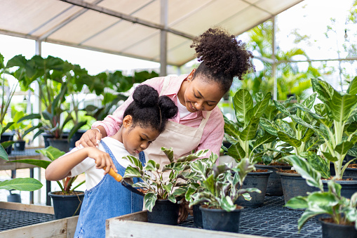 African mother is teaching her daughter to grow ornamental houseplant using trowel to put organics compost in their own nursery garden center concept