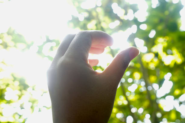 istock Blurred left hand background and nature at sunrise 1421511849