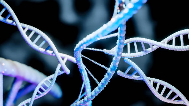 dna  - dna chromosome genetic research genetic mutation stock-fotos und bilder