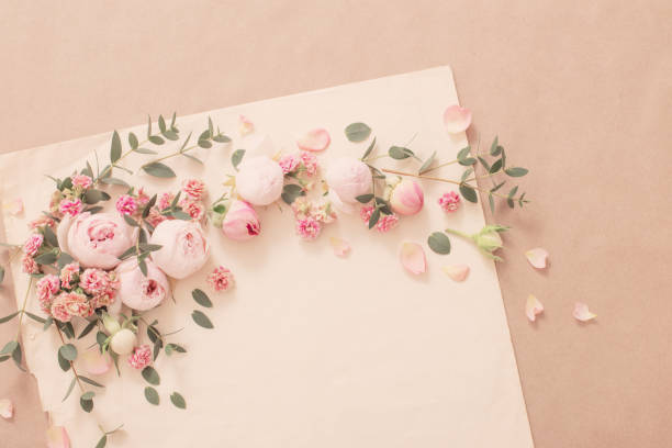 istock beautiful roses on background  old paper 1421519736