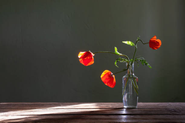 istock red poppy in glass bottle on green background 1421519773