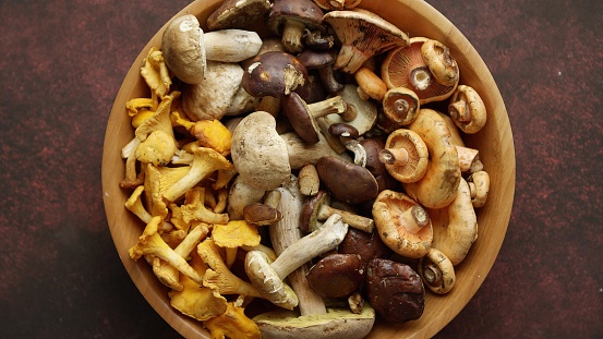Various kinds of assorted raw mushrooms placed in wooden bowl. Top view, flat lay