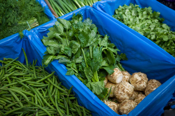 świeży seler w pudełku w supermarkecie - eggplant group of objects raw food eating zdjęcia i obrazy z banku zdjęć