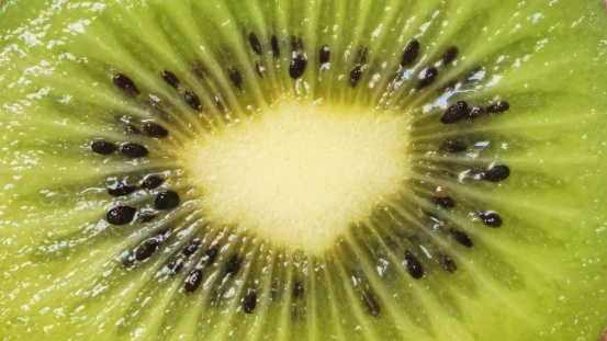 close up of fresh kiwi slice. can used for background or textures.