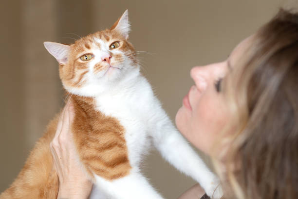 istock Young woman pets cute ginger tabby cat 1421529767