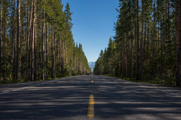 istock Two-lane highway at Yellowstone National Park 1421533206