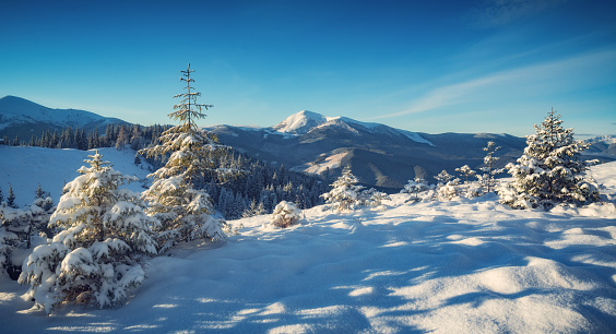 Beautiful alpine panoramic view of snow capped mountains, majestic winter in Carpathians.