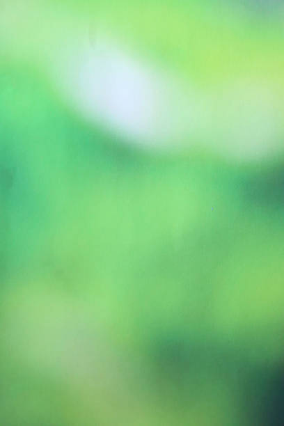 Image of green bokeh background, defocussed wallpaper, blurred mottled abstract image stock photo