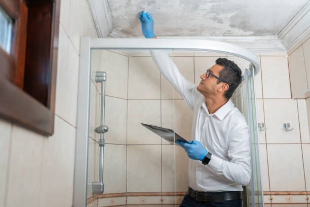 Man Examining Moldy White Wall Insurance Adjuster Inspecting Bathroom Ceiling Damage In House humidity stock pictures, royalty-free photos & images