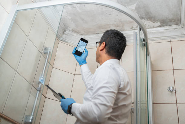 Man Examining Moldy White Wall Insurance Adjuster Taking Pictures By Smartphone Of Bathroom Ceiling Damage molding a shape stock pictures, royalty-free photos & images