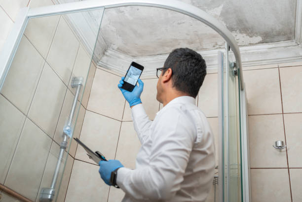 Man Examining Moldy White Wall Insurance Adjuster Taking Pictures By Smartphone Of Bathroom Ceiling Damage mildew stock pictures, royalty-free photos & images