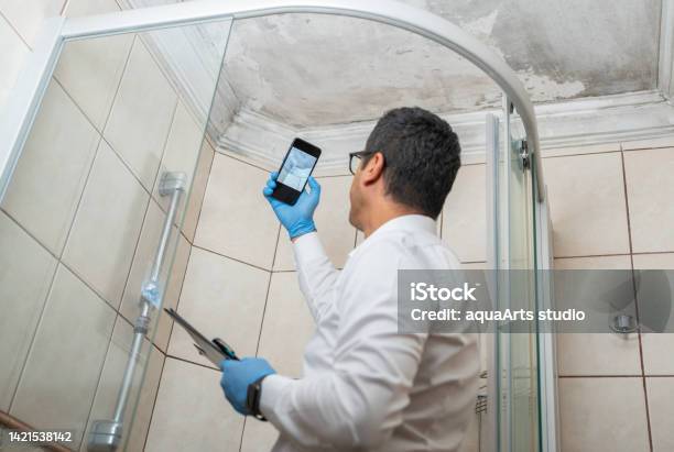 Man Examining Moldy White Wall Stock Photo - Download Image Now - Fungal Mold, Molding a Shape, Examining