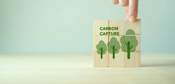 Carbon capture and storage concept. Cabon offset and reducing co2 target. Net carbon footprint neutralize development strategy. Reforestation, nature and ecology concept. World environment day. concepto de captura y almacenamiento de carbono. objetivo de compensación y reducción de co2 de cabon. la huella de carbono neta neutraliza la estrategia de desarrollo. concepto de reforestación, naturaleza y ecología. día mundial del medio ambiente.