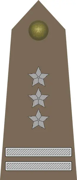 Vector illustration of Shoulder pad military NATO officer insignia of the Polish PUŁKOWNIK (COLONEL)