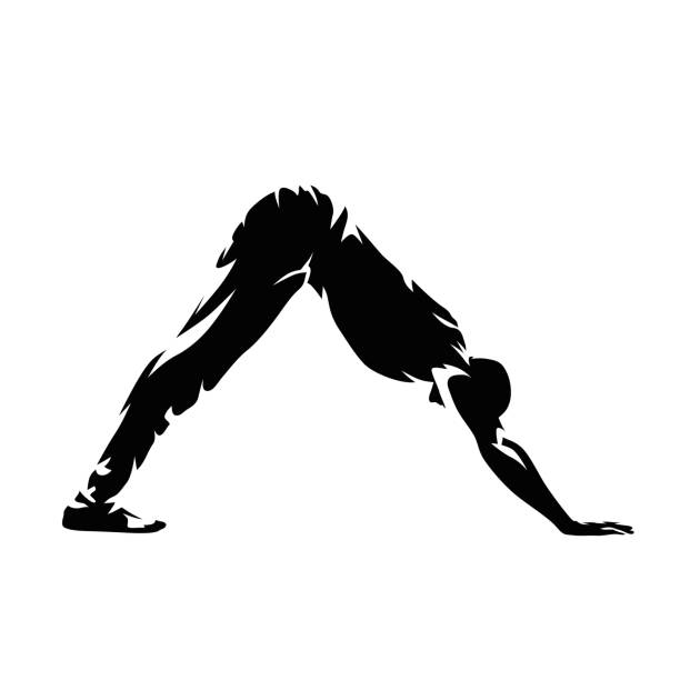 90+ Down Dog Pose Illustrations, Royalty-Free Vector Graphics & Clip ...