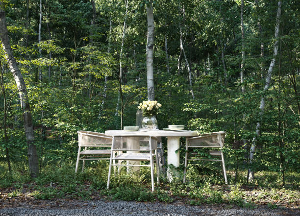 outdoor dining table in the forest (3d rendering creative  concept)