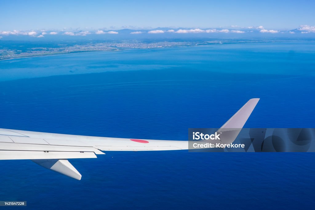 Landing At Miyazaki Airport Also Known As Miyazaki Bougainvillea
