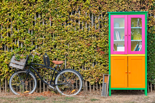 Dutch free mini public library with bicycle in autumn