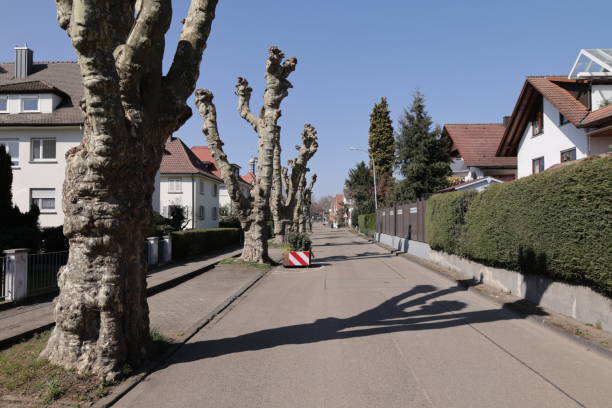 istock Sunny spring day in Oberkirch in the Black Forest 1421550893
