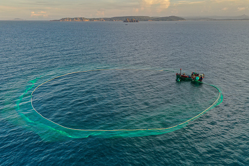Drone view of fishing boat is netting  anchovies on the sea in sunrise, Phu Yen province, central Vietnam