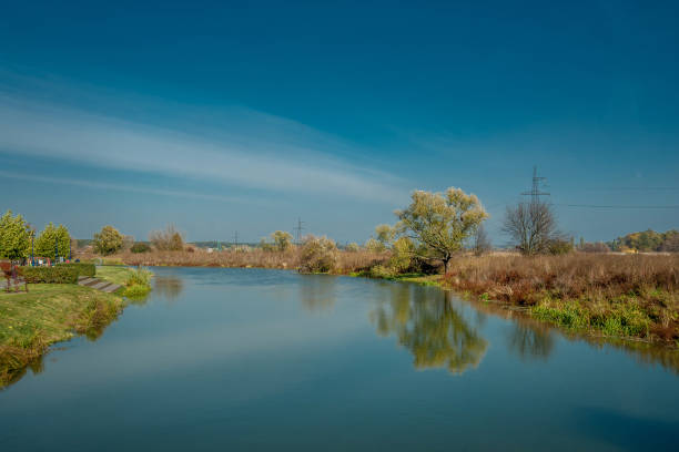 istock Bank of the river with a tree 1421552678