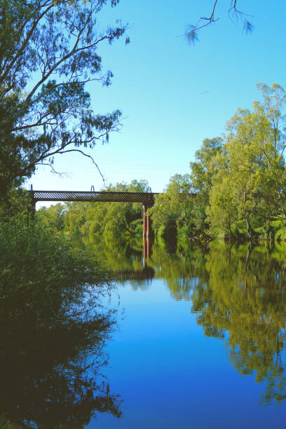 istock Wellington,  New South Wales, Australia 1421554654