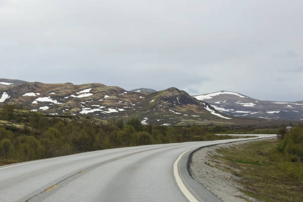 istock Dovre National Park, Norway 1421555402