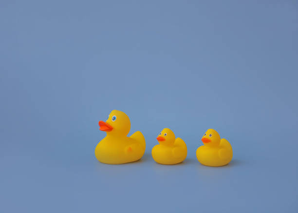 istock Three yellow rubber toy ducks for swimming on a blue background 1421555520