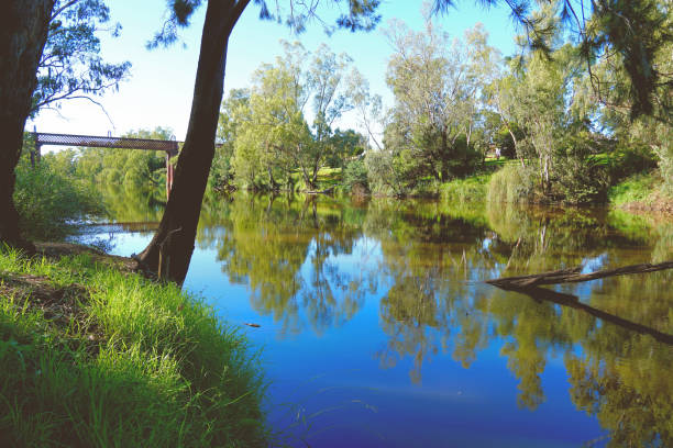 istock Wellington,  New South Wales, Australia 1421556929