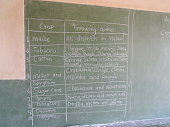 malawi-hat-eine-vielzahl-von-touristischen-attraktionen-darunter-den-malawisee-mehrere.jpg?b=1&s=170x170&k=20&c=Y0Fc7rpdbRYyvW8T02WMI_ukoLisooEIIif3D749aUs=