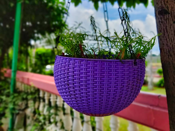 istock Image of colored hanging flower pots 1421557853