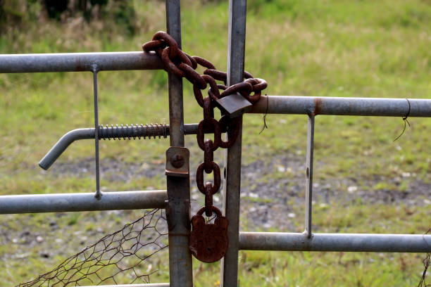 istock Old Rusting Chain and Padlocks on a Metal Farm Field Gate 1421559473